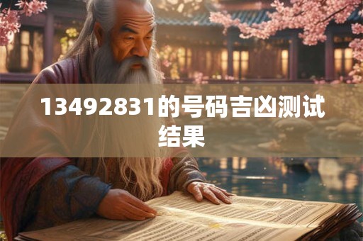13492831的号码吉凶测试结果