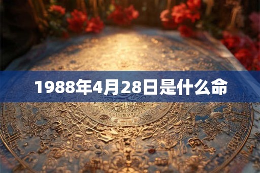 1988年4月28日是什么命