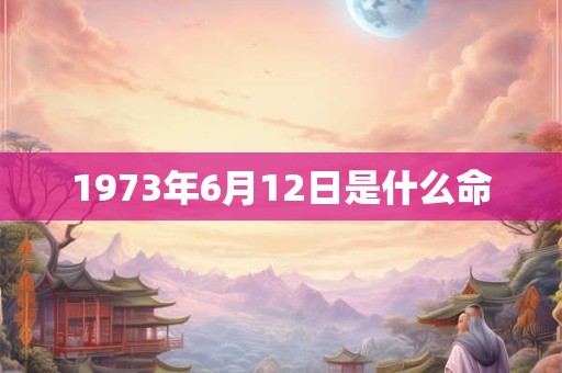 1973年6月12日是什么命