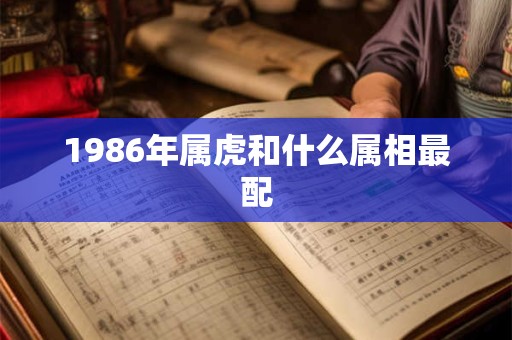 1986年属虎和什么属相最配