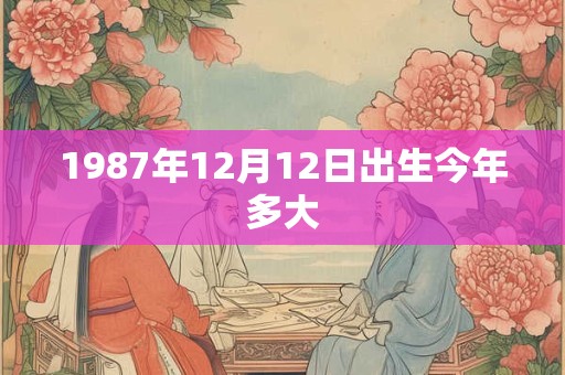 1987年12月12日出生今年多大
