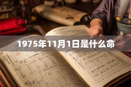 1975年11月1日是什么命