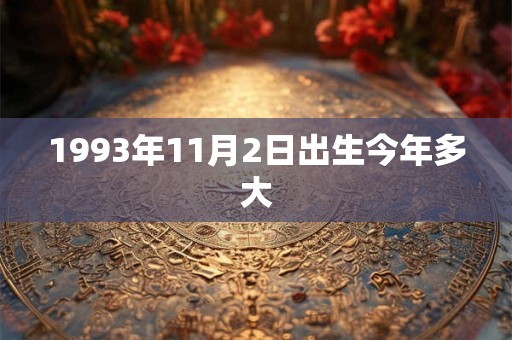 1993年11月2日出生今年多大