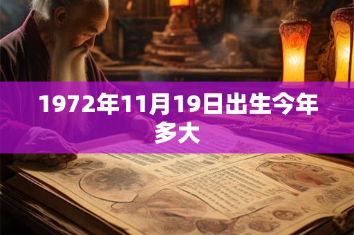 1972年11月19日出生今年多大