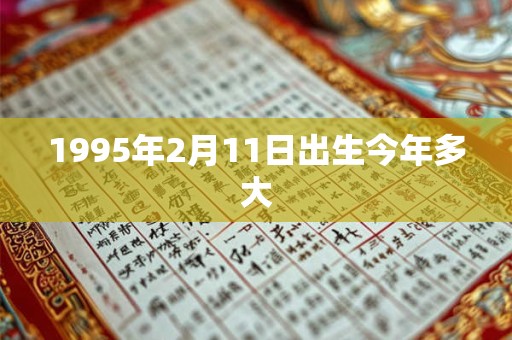 1995年2月11日出生今年多大
