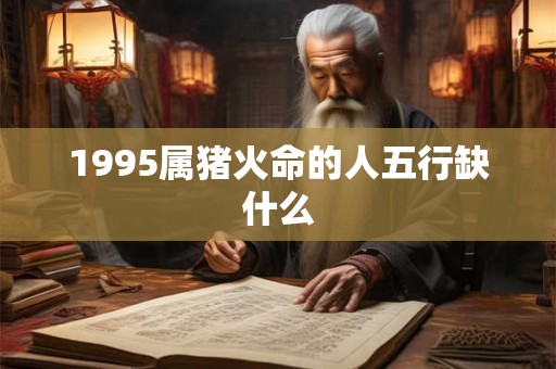 1995属猪火命的人五行缺什么