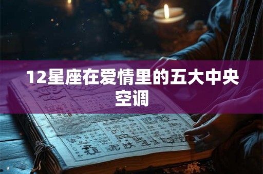 12星座在爱情里的五大中央空调
