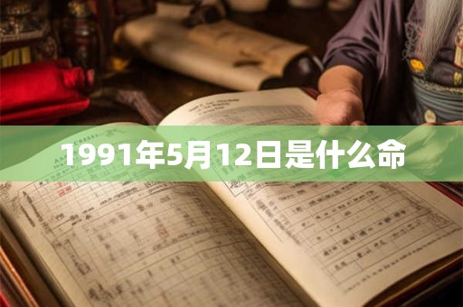 1991年5月12日是什么命