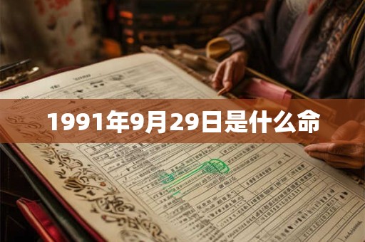 1991年9月29日是什么命