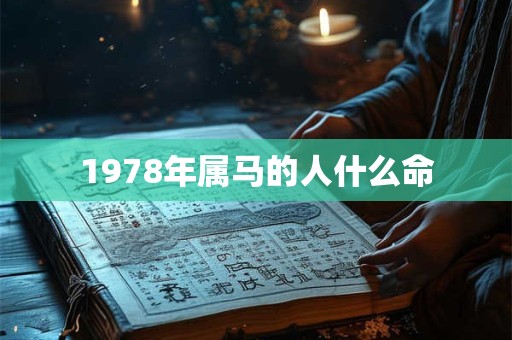 1978年属马的人什么命