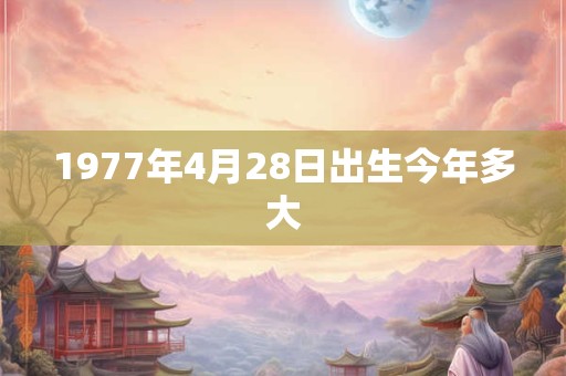 1977年4月28日出生今年多大