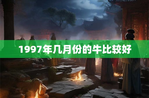1997年几月份的牛比较好
