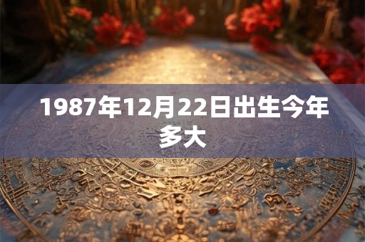 1987年12月22日出生今年多大