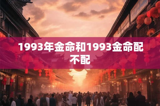 1993年金命和1993金命配不配