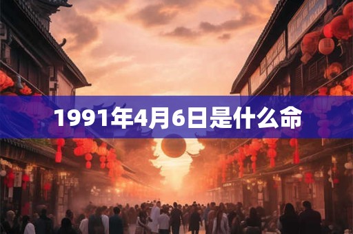 1991年4月6日是什么命