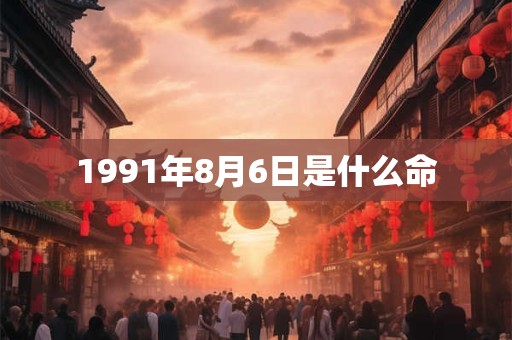 1991年8月6日是什么命
