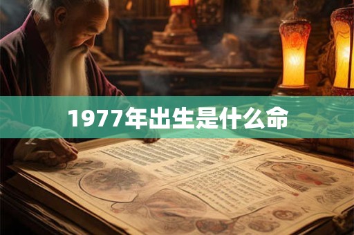 1977年出生是什么命
