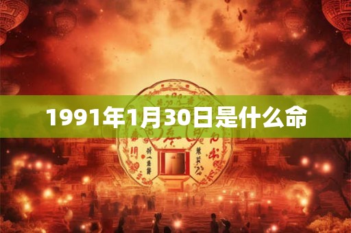 1991年1月30日是什么命