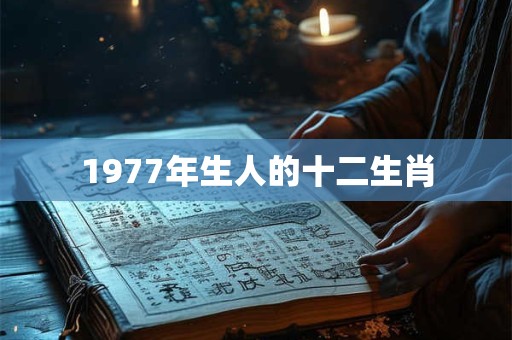 1977年生人的十二生肖