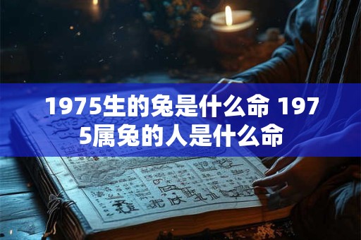 1975生的兔是什么命 1975属兔的人是什么命