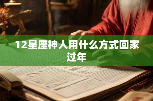 12星座神人用什么方式回家过年