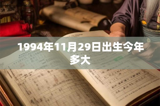 1994年11月29日出生今年多大