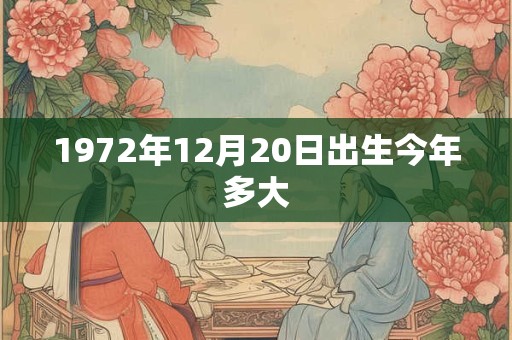 1972年12月20日出生今年多大