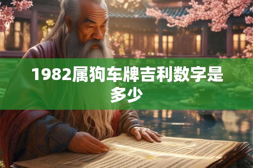 1982属狗车牌吉利数字是多少