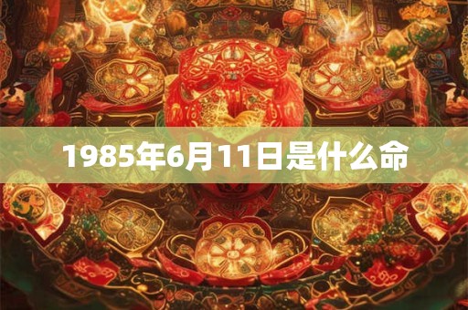 1985年6月11日是什么命