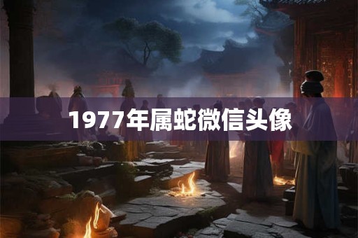 1977年属蛇微信头像