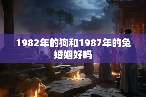1982年的狗和1987年的兔婚姻好吗