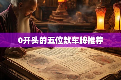 0开头的五位数车牌推荐