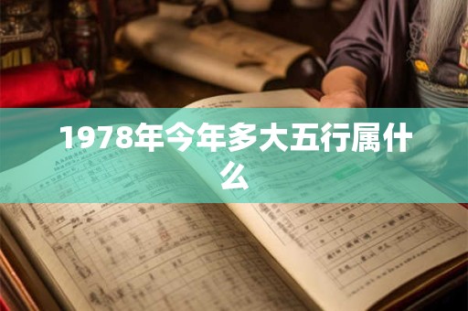 1978年今年多大五行属什么
