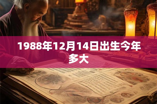 1988年12月14日出生今年多大