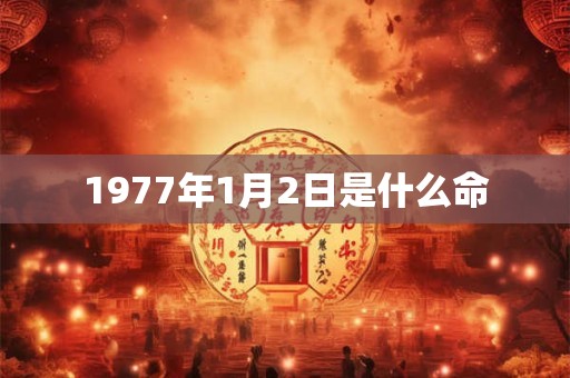 1977年1月2日是什么命