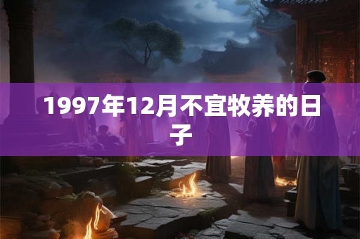 1997年12月不宜牧养的日子