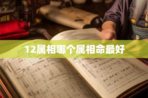 12属相哪个属相命最好