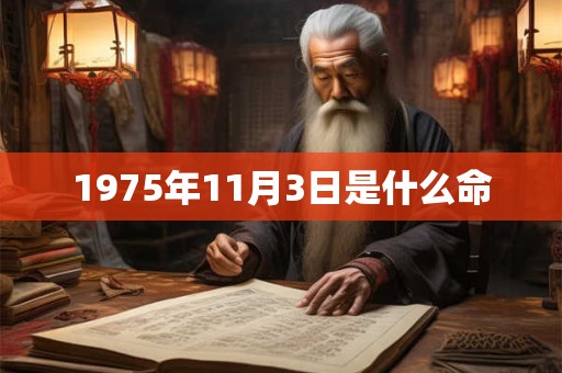1975年11月3日是什么命
