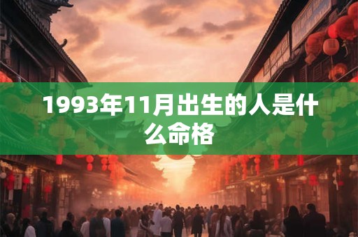 1993年11月出生的人是什么命格