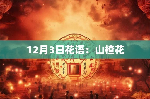 12月3日花语：山楂花
