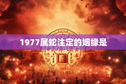 1977属蛇注定的姻缘是
