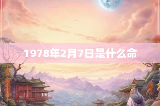 1978年2月7日是什么命