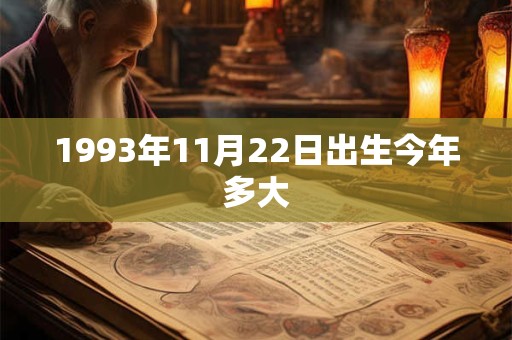 1993年11月22日出生今年多大