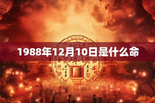 1988年12月10日是什么命