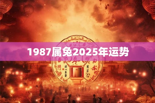 1987属兔2025年运势