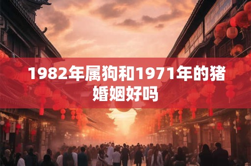 1982年属狗和1971年的猪婚姻好吗