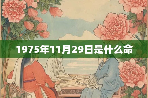 1975年11月29日是什么命