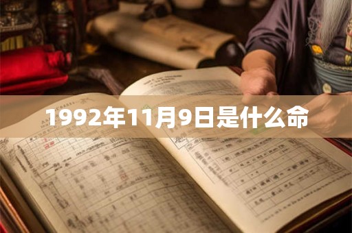 1992年11月9日是什么命