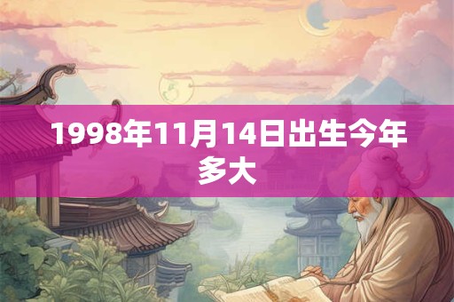 1998年11月14日出生今年多大