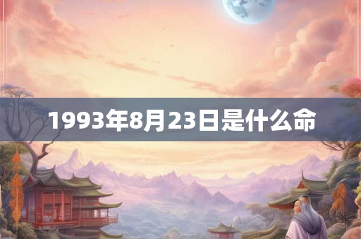 1993年8月23日是什么命